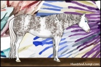 Horse Color:White Spotted Silver Black Splash Rabicano 