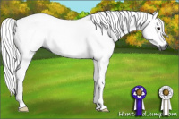 Horse Color:Gray Bay 