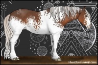 Horse Color:White Spotted Silver Brown