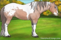 Horse Color:Bay Splash Tobiano Blanket 