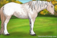 Horse Color:Chestnut Tobiano Snowcap 