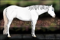 Horse Color:Buckskin Ice Pearl Sabino Splash Tobiano Appaloosa