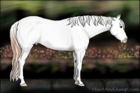 Horse Color:Plaid  Bay Ice Sabino Splash Tobiano Appaloosa Rabicano 