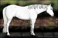 Horse Color:Plaid Silver Black Tobiano Appaloosa