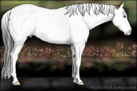 Horse Color:Bay Sabino Splash Tobiano