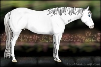Horse Color:Smoky Black Splash Tobiano Appaloosa