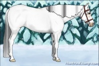 Horse Color:Buckskin Dun Sabino Splash Frame 