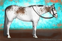 Horse Color:White Spotted Bay 