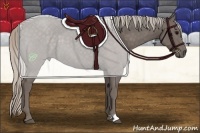 Horse Color:Silver Black 