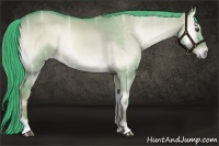 Horse Color:Watercolor Liver Red Dun Ice Onyx 