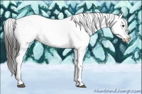 Horse Color:Liver Red Dun Blanket 