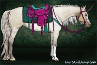 Horse Color:Silver Brown Dun 