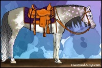 Horse Color:Smoky Grullo Sabino Splash Frame 