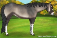 Horse Color:Blue Onyx Rabicano