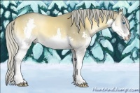 Horse Color:Chocolate Palomino Onyx Splash