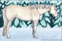 Horse Color:Cremello Onyx
