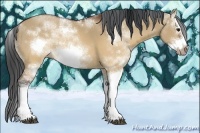 Horse Color:Brown Dun Sabino Frame Rabicano 