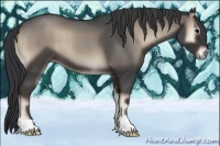 Horse Color:Blue Onyx Roan 