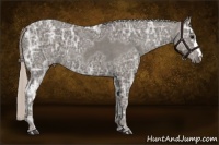 Horse Color:Silver Black Ice