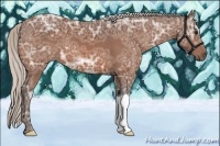 Horse Color:Silver Bay Ice 