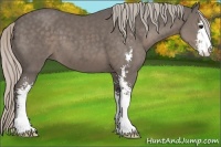 Horse Color:Silver Black Sabino 