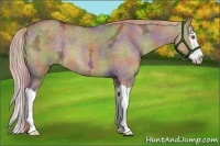 Horse Color:Nacre Liver Red Dun Ice Splash 