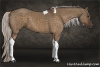 Horse Color:Silver Bay Dun Tobiano