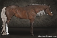 Horse Color:Silver Bay 