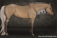 Horse Color:Silver Bay Dun
