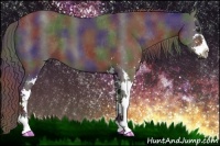 Horse Color:Nacre Liver Chestnut Sabino 