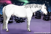 Horse Color:Liver Chestnut Tobiano Near Leopard 