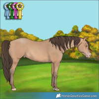 Horse Color:Amber Champagne 