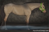 Horse Color:Liver Red Dun