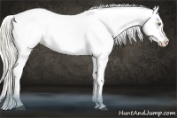 Horse Color:White Spotted Liver Chestnut Mushroom Near Leopard 