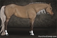 Horse Color:Silver Bay Dun