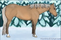 Horse Color:Silver Buckskin 