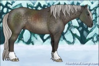 Horse Color:Silver Brown 