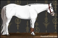 Horse Color:Brown Near Leopard 