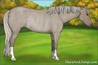 Horse Color:Silver Smoky Grullo Roan Rabicano