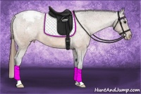 Horse Color:Buckskin Appaloosa 