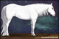 Horse Color:Watercolor White Spotted Bay Onyx Snowcap