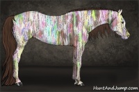 Horse Color:Liver Chestnut Ice 