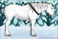 Horse Color:Buckskin Roan Frame Appaloosa Rabicano