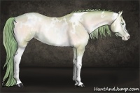 Horse Color:Watercolor White Spotted Buckskin Pearl Onyx 