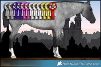 Horse Color:Blue Roan Rabicano 