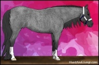 Horse Color:Smoky Blue Roan