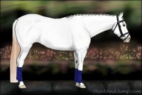 Horse Color:Buckskin Roan Dun Appaloosa
