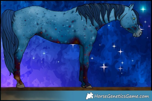 Horse Color:ERROR: UNKNOWN ANOMALY