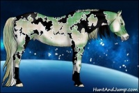 Horse Color:Watercolor Plaid  White Spotted Liver Red Onyx Rabicano 