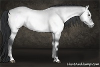 Horse Color:Brown Chinchilla Onyx